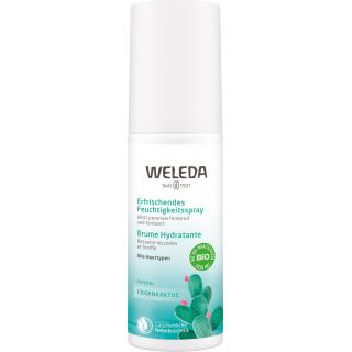 BIO 24h Erfrischendes Feutigkeitsspray Feigenkaktus