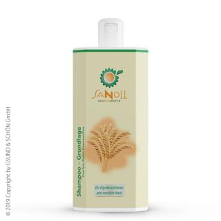 BIO Shampoo-Grundlage