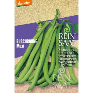 BIO Buschbohne Maxi