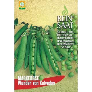 BIO Markerbse Wunder von Kelvedon