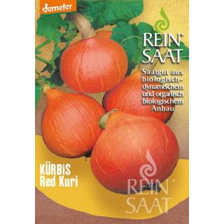 BIO Kürbis Red Kuri