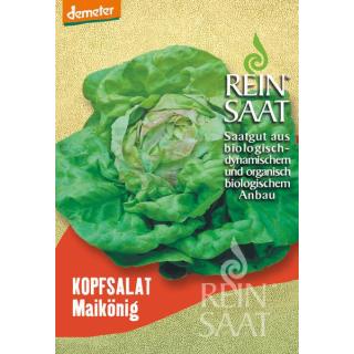 BIO Kopfsalat Maikönig