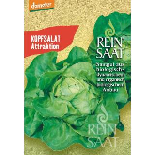 BIO Kopfsalat Attraktion