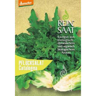 BIO Pflücksalat Catalogna