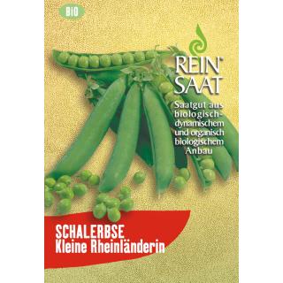BIO Schalerbse Kleine Rheinländerin