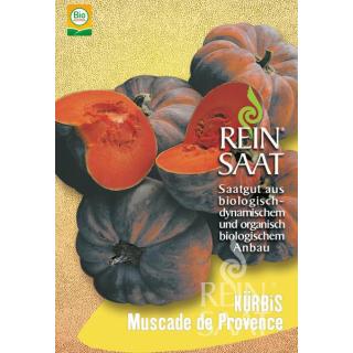 BIO Kürbis Muscade de Provence