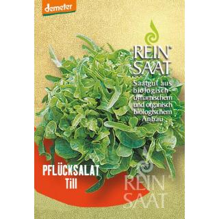 BIO Pflücksalat Till