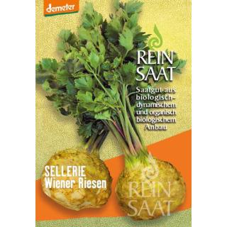BIO Sellerie Wiener Riesen