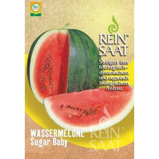 BIO Wassermelone Sugar Baby