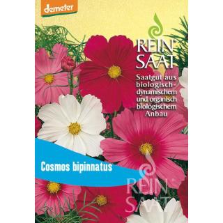 BIO Schmuckkörbchen, Mischung Cosmea  Demeter