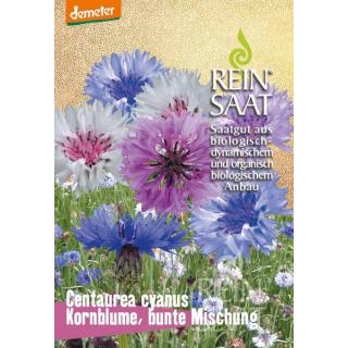 BIO Kornblume, bunte Mischung