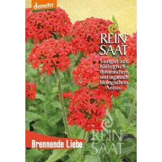 BIO Brennende Liebe