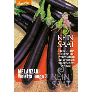 BIO Melanzani Violetta lunga 3