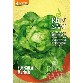 BIO Kopfsalat Murielle