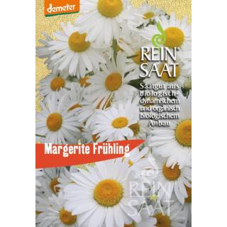 BIO Margerite Frühling