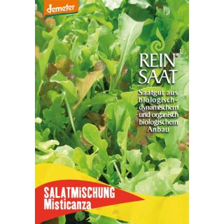 BIO Salatmischung Misticanza