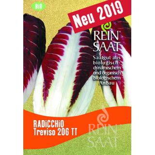 BIO Radicchio Treviso 206 TT