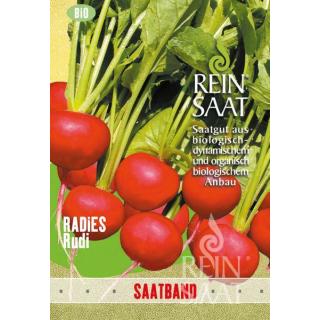 BIO Radies Rudi