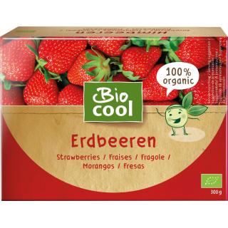 BIO TK Erdbeeren