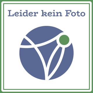 Einzelräucherung Drachenblut